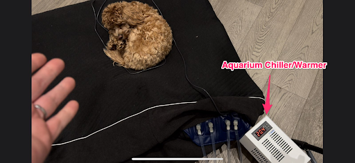 Thank you <a href="/ellenhuet/">Ellen Huet</a> for covering the research <a href="/JakeKing/">Jake</a> and I did: removing the AWS from eight sleep by running it off an aquarium chiller.

Here's our full blog: trufflesecurity.com/blog/removing-…