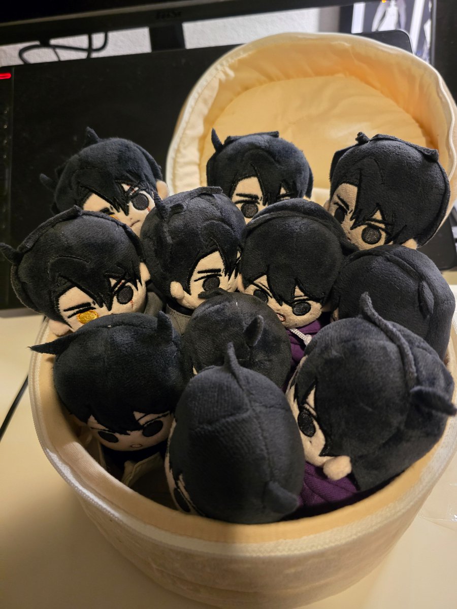 cfeather8's tweet photo. extremely normal amount of dolls to have https://t.co/88TeMc5pUq