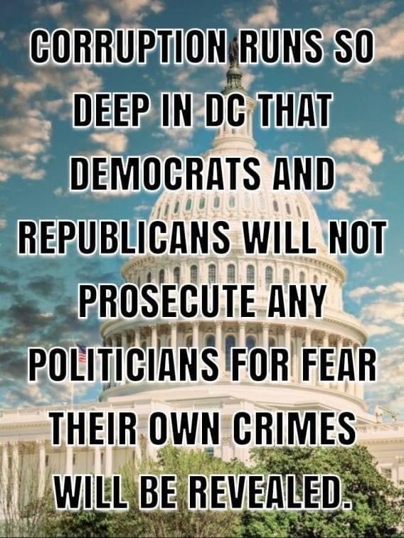 <a href="/elonmusk/">Elon Musk</a> The beurocracy must be exposed and permanently removed 💯