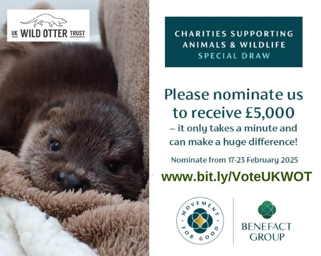 UK Wild Otter Trust tweet media