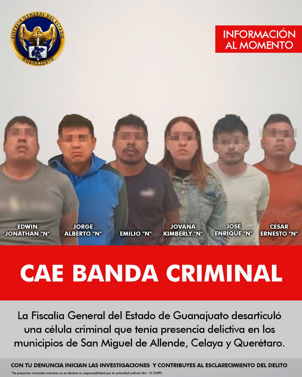 FGEGUANAJUATO's tweet photo. 🚨 FISCALÍA DE GUANAJUATO DESARTICULA CÉLULA CRIMINAL 🚨

La Fiscalía General del Estado de Guanajuato desmanteló una banda delictiva con operaciones en #SanMiguelDeAllende, #Celaya y #Querétaro.

📍 Mediante un operativo en la colonia Santa Cruz de la Paz, San Miguel de Allende, se aseguraron: 

🔹 Armas de fuego y municiones
 🔹 Dosis de droga
 🔹 Vehículo
 🔹 Detención de 6 presuntos delincuentes

El análisis balístico confirmó que las armas fueron usadas en diversos delitos en la región. Los detenidos están bajo investigación ya disposición de la autoridad competente.

Con estas detenciones se esclarecen múltiples eventos criminales registrados en fechas recientes en los municipios y estado mencionados.

🤝 Coordinación con fiscalías vecinas para fortalecer la seguridad y combatir la delincuencia.

#Justicia #FGEGuanajuato ⚖️