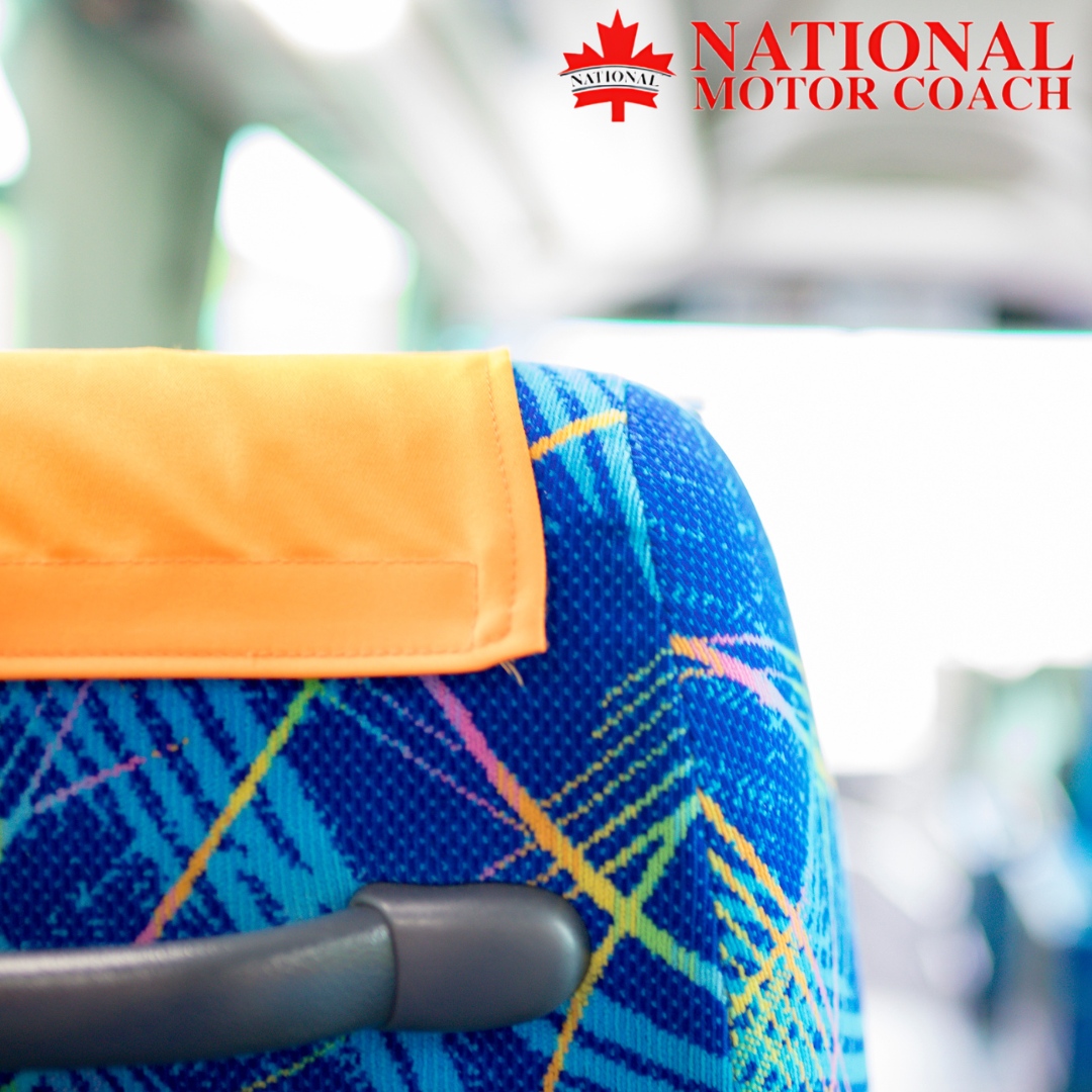 From here to anywhere, our charter buses are built for comfort and convenience. Let’s hit the road together! 🚌

🌐 nationalmotorcoach.com
.
.
.
#NationalMotorCoach #TransportationServices #Calgary #Banff #Edmonton #Richmond #BusCharter #PrivateBusCharter #CharterServices #Tr...