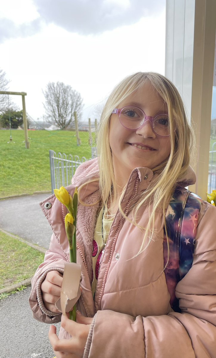 sthcpsbarry's tweet photo. #efailisaf A bunch of Daffodils for each of my fantastic pupils so they can have a small part of the Welsh culture at home! Happy half term, I truly love being your teacher, see you soon ๐ผโจ https://t.co/bygu0OtPaL