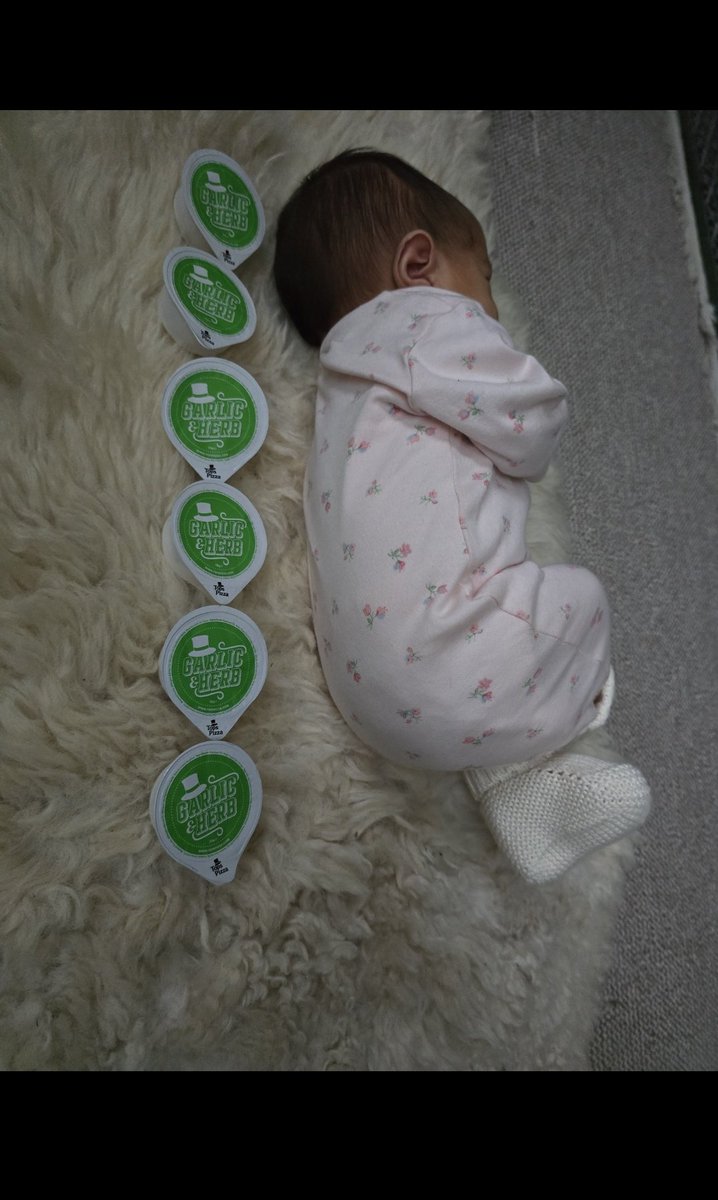 inknest's tweet image. 13 days old 🥰

1.75 book

6 saus

#smol