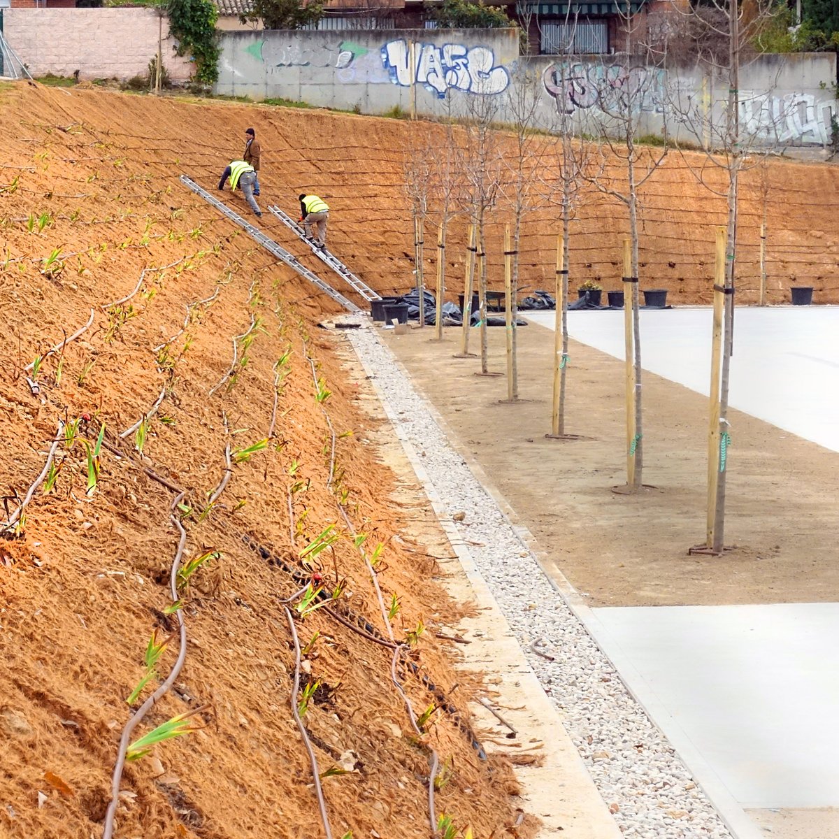 ☝️ Si buscas sitio donde darle a la #Calistenia 🤸, al #baloncesto ⛹️‍♀️, o a voleibol 🏐 en <a href="/JMDFuencarral/">Distrito de Fuencarral-El Pardo</a>...

🏗️ ¡Acércate a las pistas que acaba de terminar #Madrid, un proyecto de #PresupuestosParticipativos! ⬇️
📍 C/Ronda Caballero de la Triste Figura Nº 6.
♿🌳Un espacio