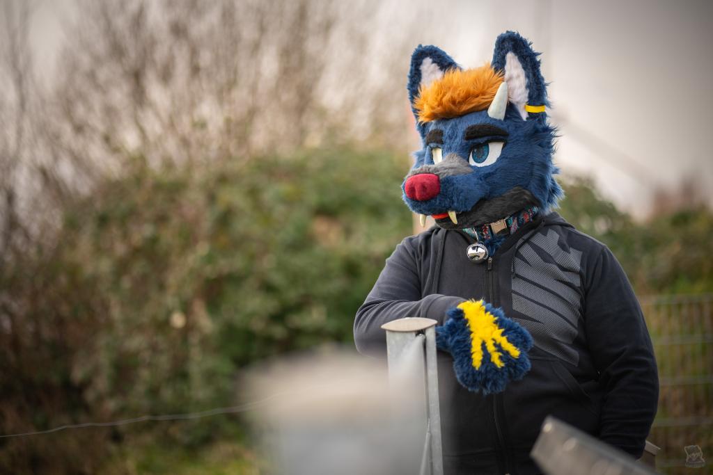 Look, Weekend ahead!
Hope you're having a good one.

#FursuitFriday

🪡 @vino_studios
📸 <a href="/SamyoFox/">SamyoFox</a>
📍Tagebau Garzweiler.