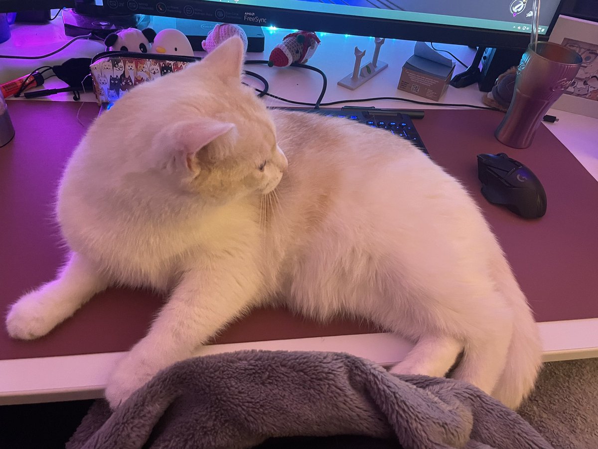 Ich wollte eigentlich wieder hsr spielen

Pummelchen sagt nein