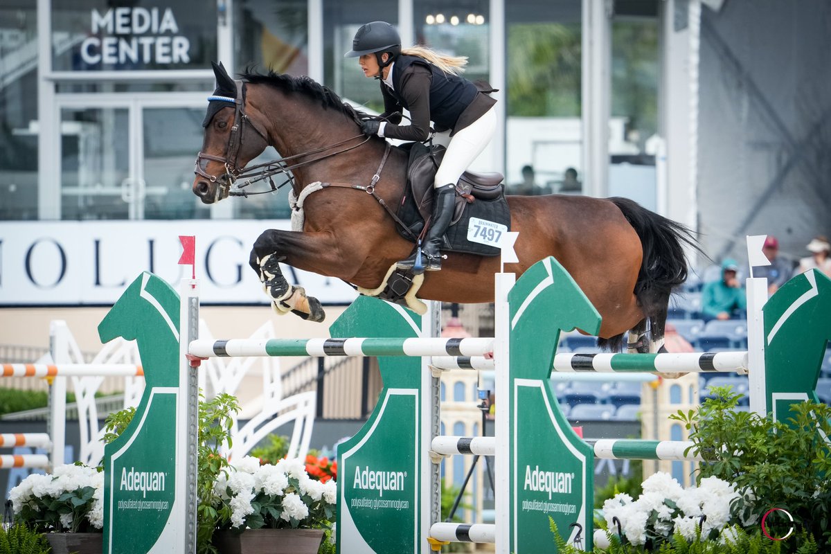 Ashlee Bond Blazes a Path in Adequan® CSI5* WEF Challenge Cup.

Read the Competition Update: bit.ly/3D3pKs0