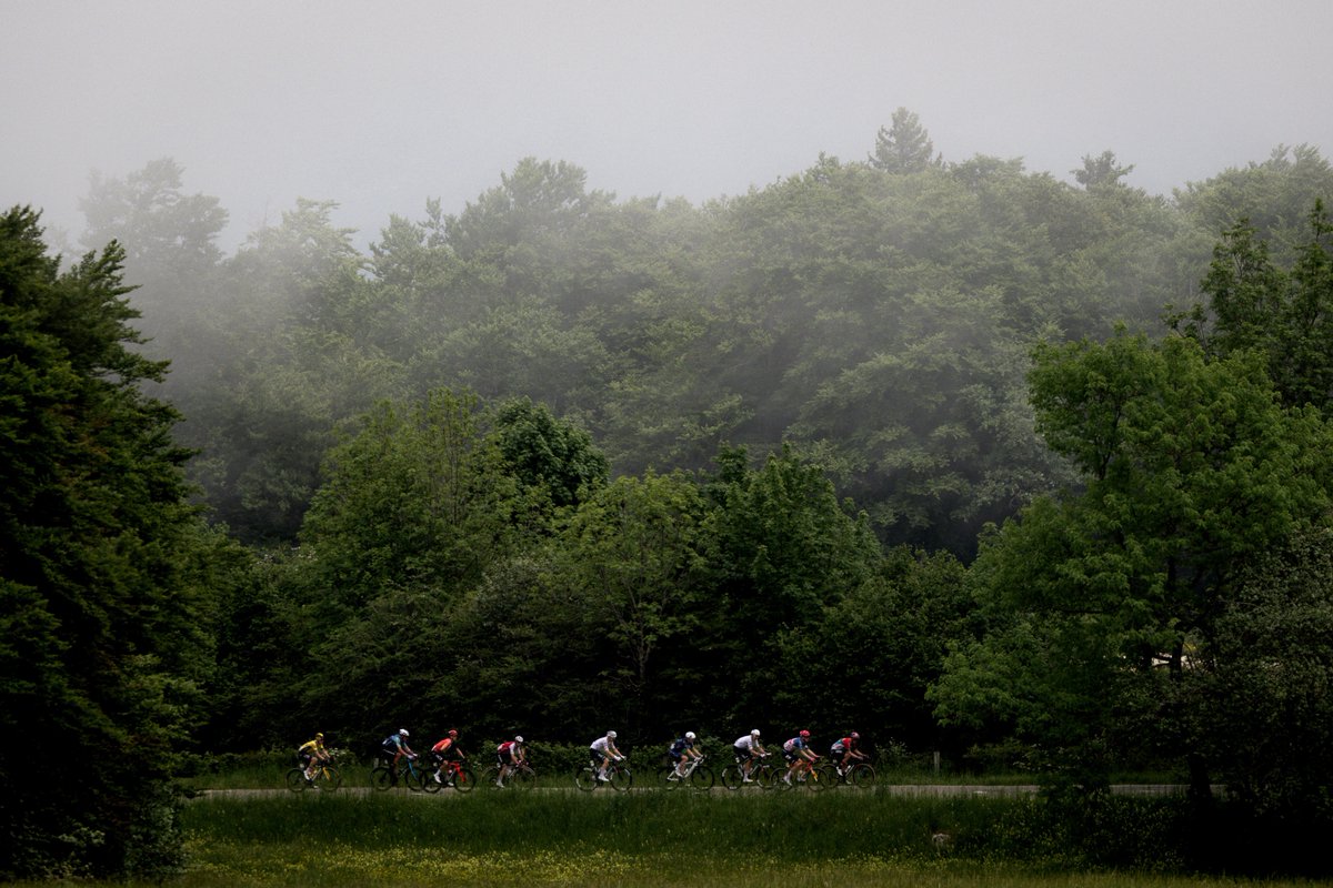 💯 JOURS ⏳

#Dauphiné