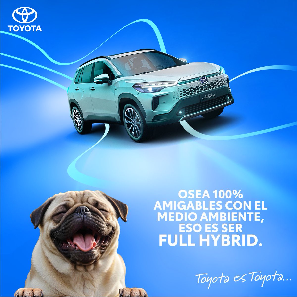 🚘 ¿Sabías que nuestros híbridos son #FullHybrid? ¡100% amigables con el medio ambiente! ¡Y reducen emisiones por su batería de litio!

Recuerda que #CorollaCross puede ser tuyo desde $33.999*

👉🏻 Cotízalo aquí: toyota.com.ec/corolla-cross-…

*Aplican restricciones.

#ToyotaEsToyota