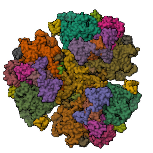 rcsb pdb 💉🧬💻🔬💊🌱🧠🦠 (@buildmodels) on Twitter photo Unveiling the structure of a photosynthetic catalyst that turns light into hydrogen fuel
See a high-resolution view of a hybrid catalyst that combines platinum nanoparticles and protein complexes
anl.gov/article/unveil…
Explore in 3D at RCSB PDB: rcsb.org/structure/8vu3 Unveiling the structure of a photosynthetic catalyst that turns light into hydrogen fuel
See a high-resolution view of a hybrid catalyst that combines platinum nanoparticles and protein complexes
anl.gov/article/unveil…
Explore in 3D at RCSB PDB: rcsb.org/structure/8vu3