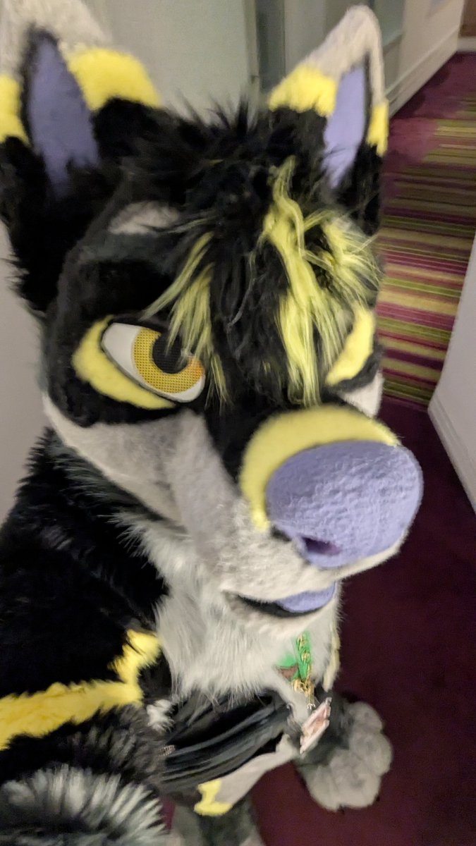 Wolf is going down to the lobby