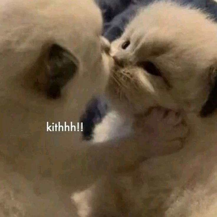 <a href="/junkyuwn/">ؘ</a> hoiii happy 2nd monthsarry sayangkuuuu. Terima kasih sudah sabar menghadapi aku yg suka marahin kamu .g Aku sayang kamu banyakk banyaakkk❤️😽😗