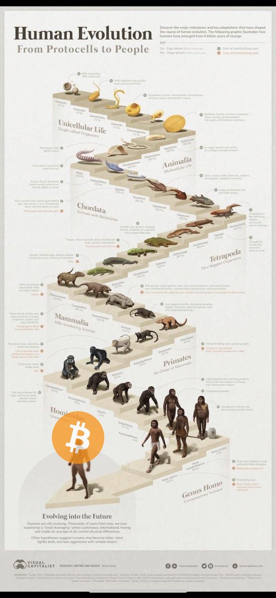 4 billion years of human evolution