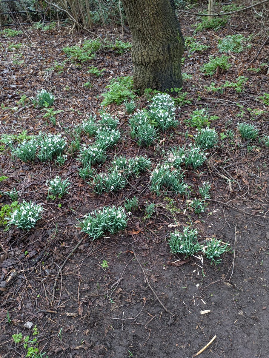 Park Appleton WI tweet media