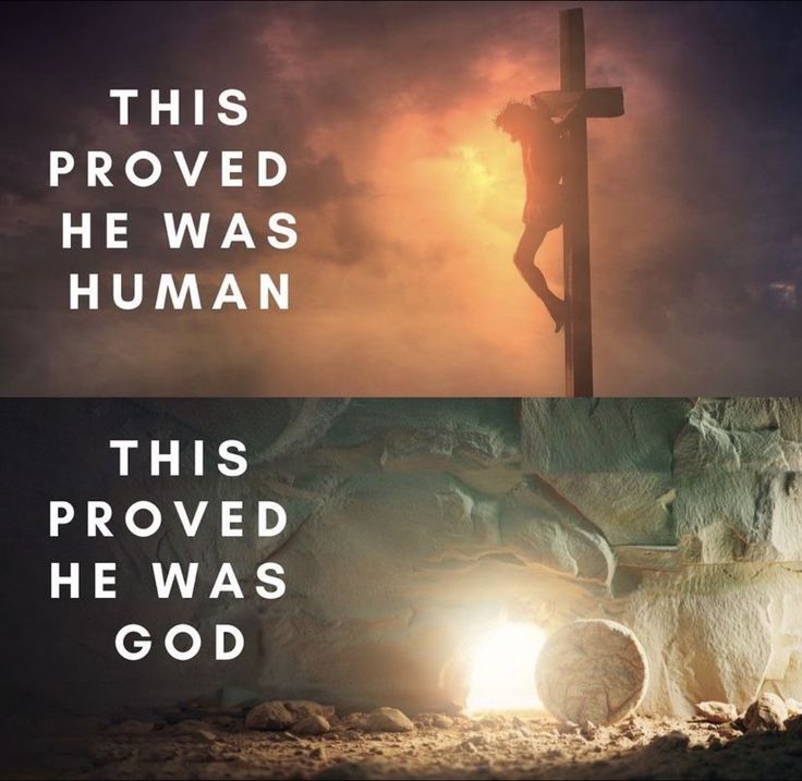 FireFromHeaven7's tweet image. 