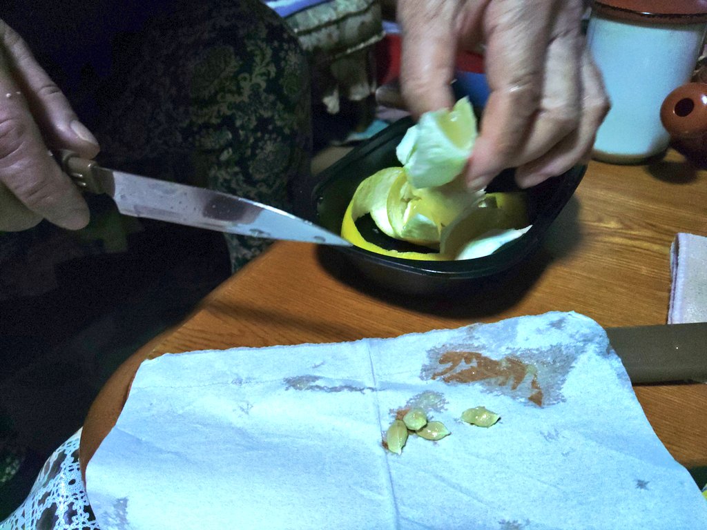 庭で採れた宮崎名物 日向夏をいただいちゃいます
本来は4,5月が食べ頃らしいですゾ

食い散らかして退散する野鳥らを相手に、ウチの祖母は殺意の波動が目覚めんとする前に収穫したとか何とか

そういえば自分ちょうど柑橘類の種を探してましてん
これ、シークヮーサーの種って事にして良いっすかねェ