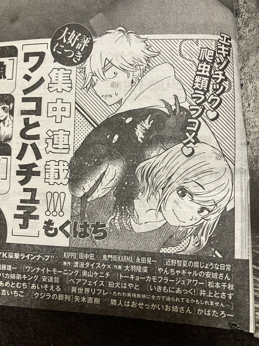 今日発売のヤングキングに告知あります!次号から3週に渡ってワンコとハチュ子再来です。
よろしくお願いします。
(予告カットが2年前のままなので次号掲載の話の絵柄がかな〜り変わってる部分が注目ポイントです) 