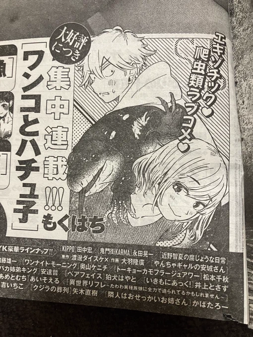 今日発売のヤングキングに告知あります!次号から3週に渡ってワンコとハチュ子再来です。
よろしくお願いします。
(予告カットが2年前のままなので次号掲載の話の絵柄がかな〜り変わってる部分が注目ポイントです) 