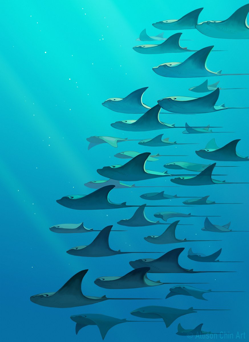 Sea of Rays
