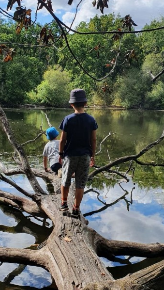 SAGE Loire en Rhône-Alpes (@sage_lra) on Twitter photo 