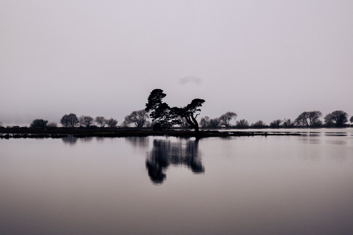 StrandmannenX's tweet photo. Just a tree and some water 📸
#FujifilmXT5 #MoodyNature #MinimalistPhotography #ReflectionShot #CinematicVibes #NatureLover #PhotographyLife #FujifilmLove #FineArtPhotography https://t.co/7wS8R06s6n