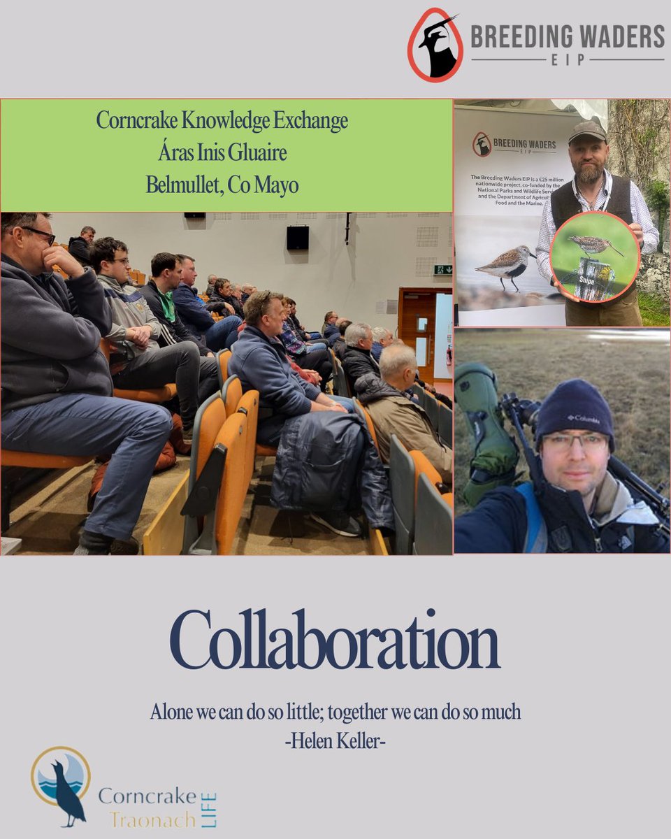 Collaboration 🤝
We're incredibly fortunate to work with passionate individuals and projects dedicated to conservation. Since our project's inception, we've been supported by amazing partners and collaborations. We're equally thrilled to support others where we can.
Another week,