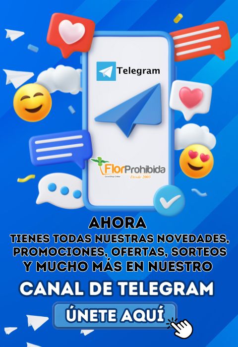 FlorProhibida tweet media