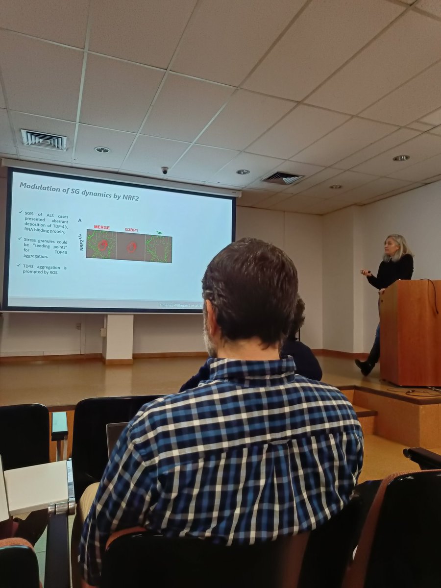 NRF2LabIIBm tweet media