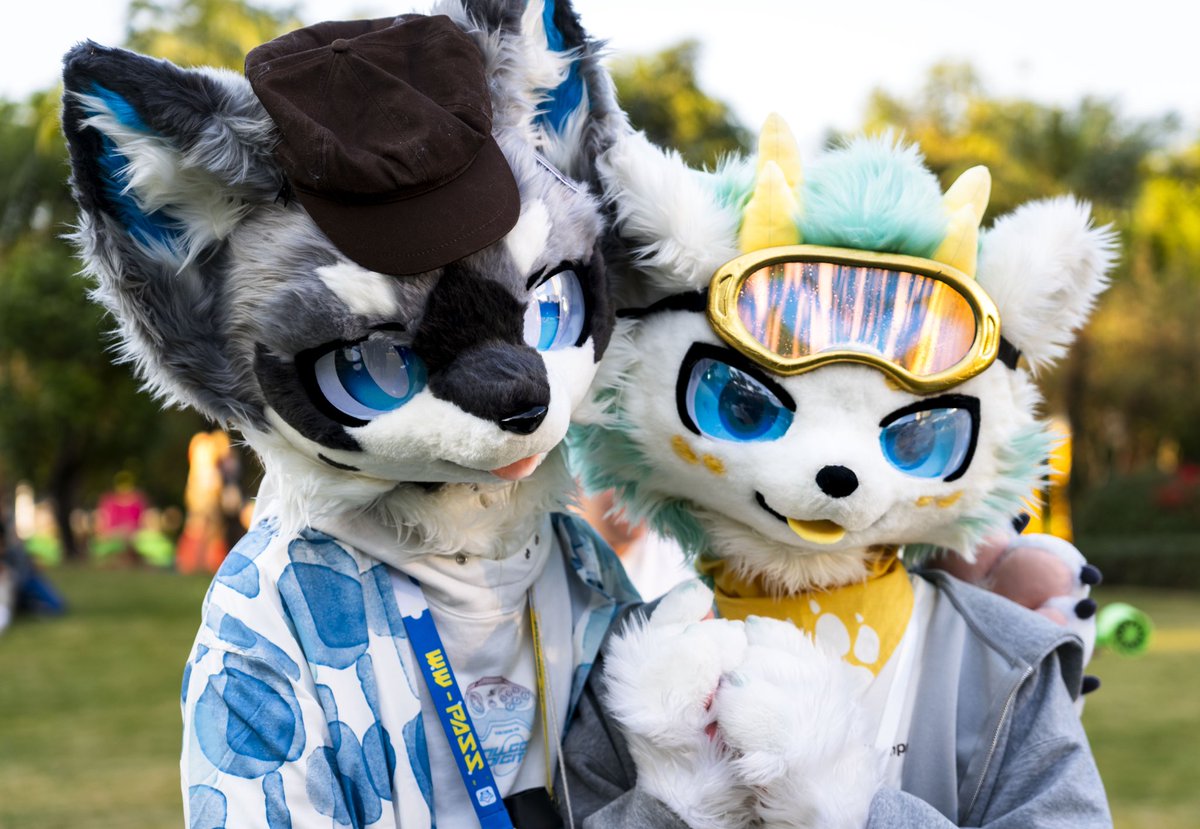 #FursuitFriday #furry #fursuit 

贴贴乌冬小侦探~

with:<a href="/UdonO_uO_/">UDon_爱吃乌冬</a> 
📷:砖