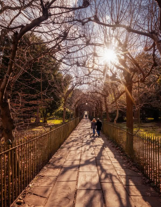 Walks in Bristol are becoming even more enjoyable as the weather slowly warms up. Who else is excited for spring to arrive? ⛅

Our top 10 walks in Bristol: totalbristol.com/lifestyle/top-…

📷 @ s.z.a.theory / IG
#bristol #spring #bristolphotography #bristolwalks