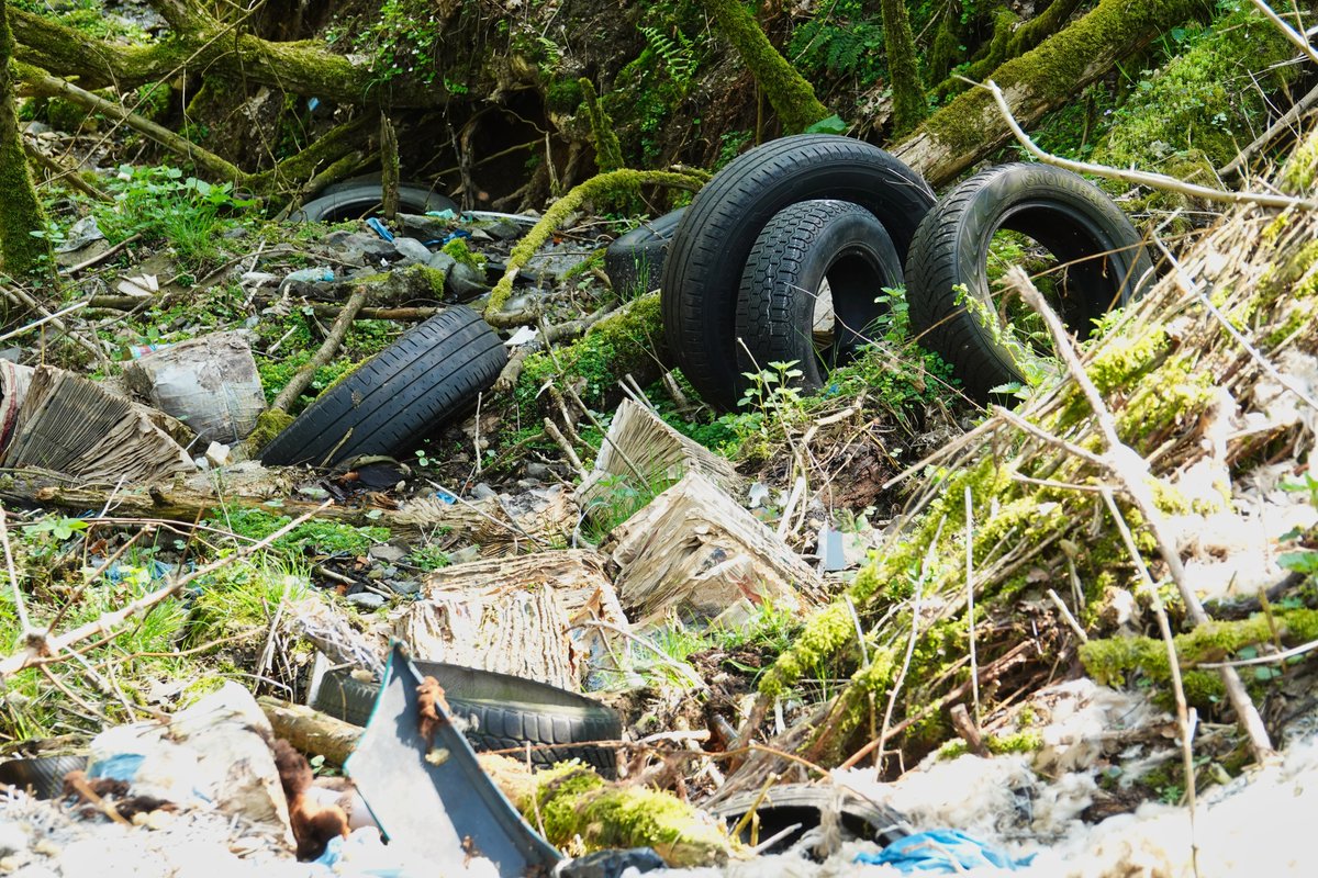 chasse38's tweet photo. 🌍#JLNP : ramassage de pneus usagés 🚗♻️
Participez à la collecte de #PneusUsagés en nature avec 2 options :
1️⃣Déchetteries locales : https://t.co/ms9YIRomCX
2️⃣ France Recyclage Pneumatique : https://t.co/z4KERwbjic
#ZeroDéchet #CleanUpChallenge #Recyclage
©eDiBella https://t.co/rWJF7gCUbp