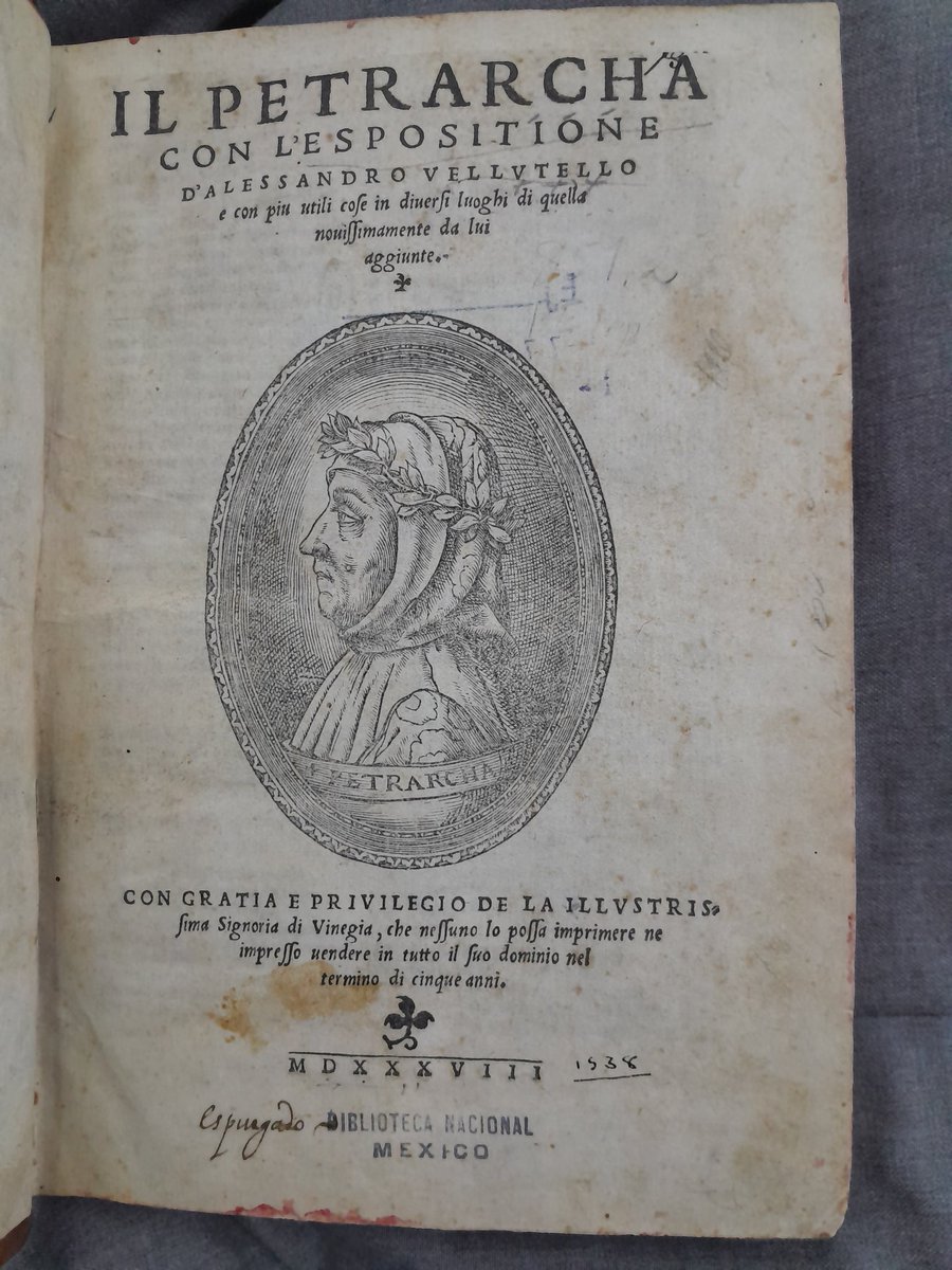 Humbert Coe Rose tweet media