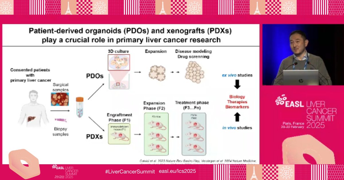 EASLnews (@easlnews) on Twitter photo Tian Tian presented innovative research on using patient-derived xenografts and organoid models to study liver cancer. These models closely mimic original tumor biology, aiding in drug testing and biomarker discovery. #LiverCancerSummit
<a href="/rirmacias/">Rocío IR Macías</a> <a href="/AleksanderKrag/">Aleksander Krag</a> Tian Tian presented innovative research on using patient-derived xenografts and organoid models to study liver cancer. These models closely mimic original tumor biology, aiding in drug testing and biomarker discovery. #LiverCancerSummit
<a href="/rirmacias/">Rocío IR Macías</a> <a href="/AleksanderKrag/">Aleksander Krag</a>