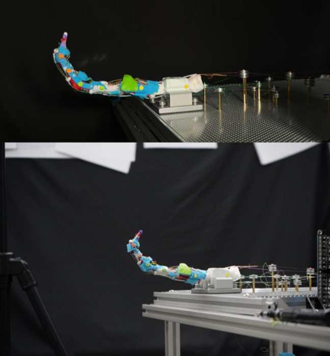 Biomim_MDPI's tweet image. 🦾A new biomimetic robotic finger integrates cartilages, ligaments, and pulleys to mimic human anatomy. It is driven by six SMA actuators and achieves lifelike motion.- by @Askar51538387, et al.
🔎Read more at: mdpi.com/2313-7673/9/3/…
#biomimetic #robotics #anatomic #system