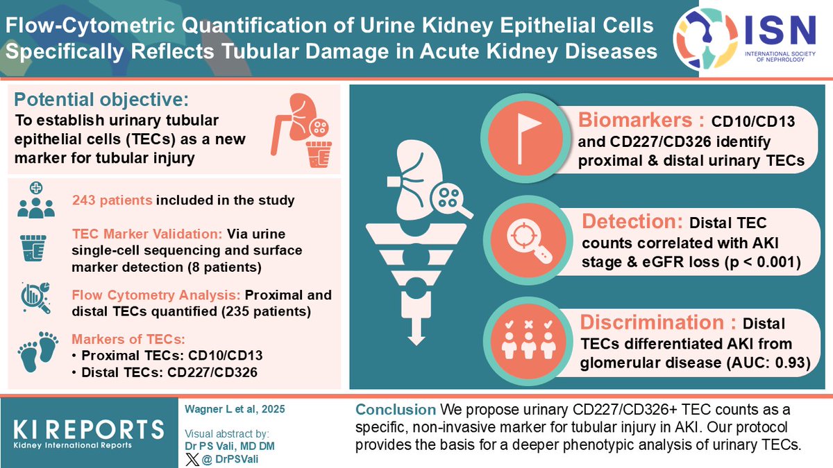 KIReports (@kireports) on Twitter photo Flow-Cytometric Quantification of Urine Kidney #EpithelialCells Specifically Reflects #TubularDamage in Acute Kidney Diseases #AKD
#VisualAbstract by <a href="/DrPSVali/">Dr P S Vali</a>
kireports.org/article/S2468-… Flow-Cytometric Quantification of Urine Kidney #EpithelialCells Specifically Reflects #TubularDamage in Acute Kidney Diseases #AKD
#VisualAbstract by <a href="/DrPSVali/">Dr P S Vali</a>
kireports.org/article/S2468-…