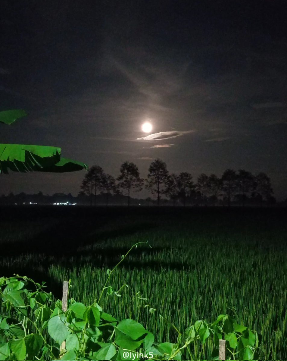 Iyink (@iyink5) on Twitter photo 