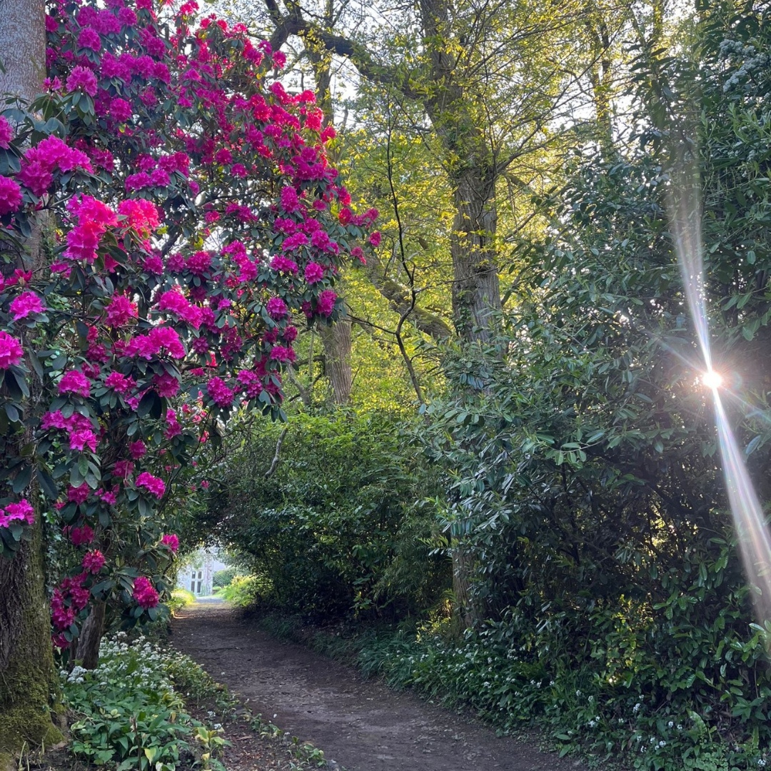 Northcote Manor tweet media