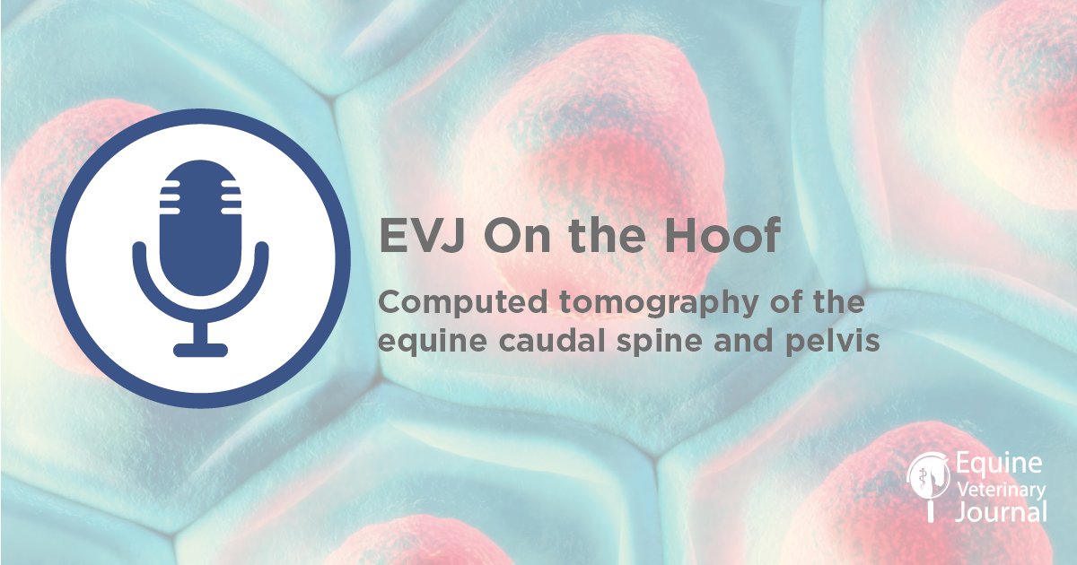 Have you listened to our latest EVJ On the Hoof podcast episode yet? 

Tune in now for a summary of "Computed tomography of the equine caudal spine and pelvis. Pathological findings in 56 clinical cases (2018-2023)" 🎧

👉 bit.ly/3CYx8oq