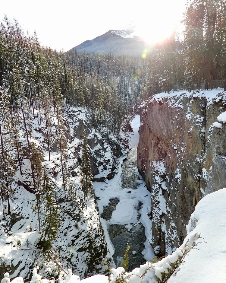 Thérapie naturelle par la découverte des sentiers – en cours ☺️🌲

📍 Chutes Sunwapta 
📸 @girlwithacamera96 | IG

Commencez à planifier votre visite hivernale à Jasper :
ow.ly/r0Et50V3GlZ
ow.ly/EkFy50V3Gm1