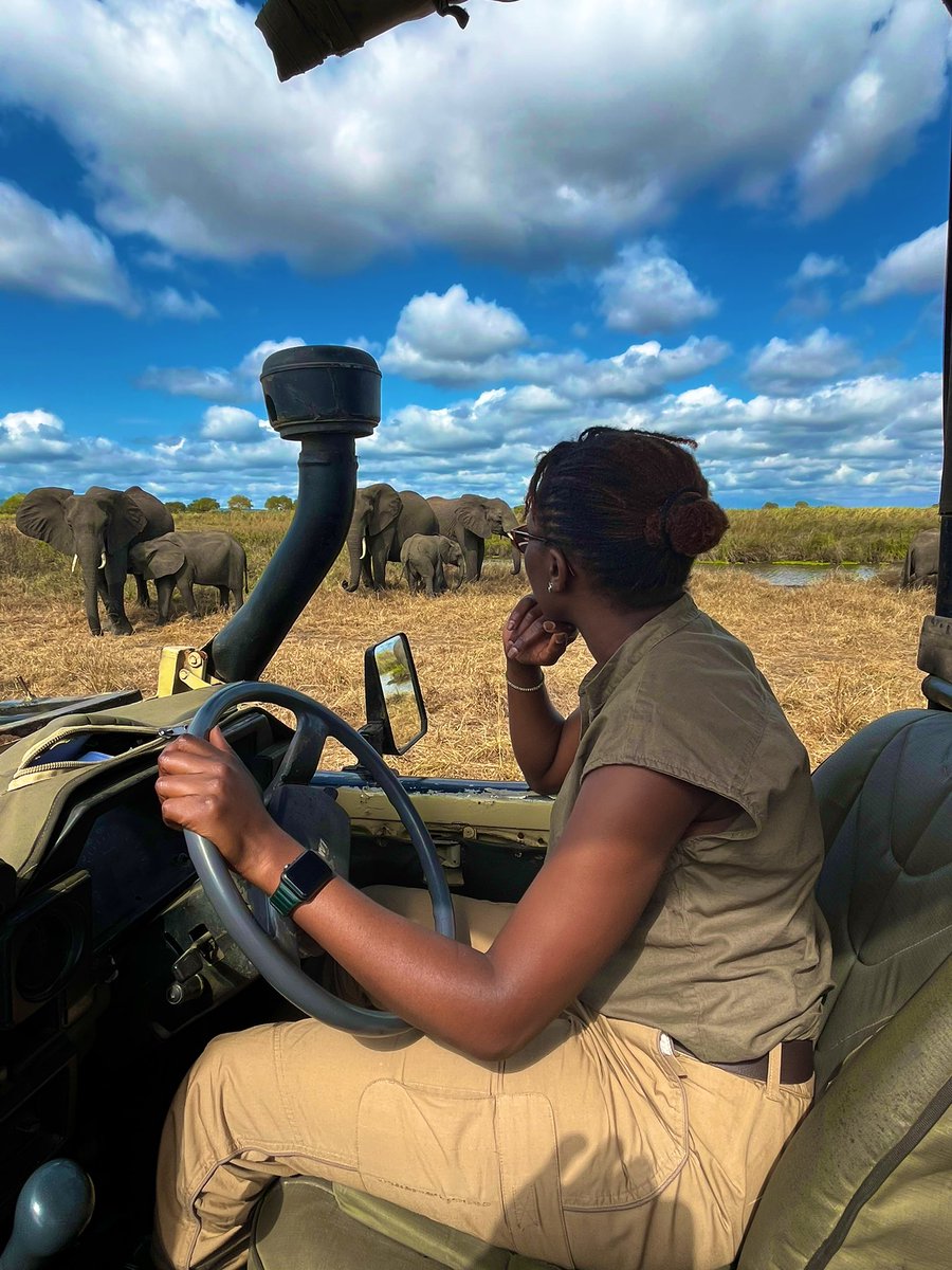 the_bushgal_'s tweet image. Happy #internationalTouristGuide day to y’all nature lovers out there. Keep protecting those creatures and educating tourists.