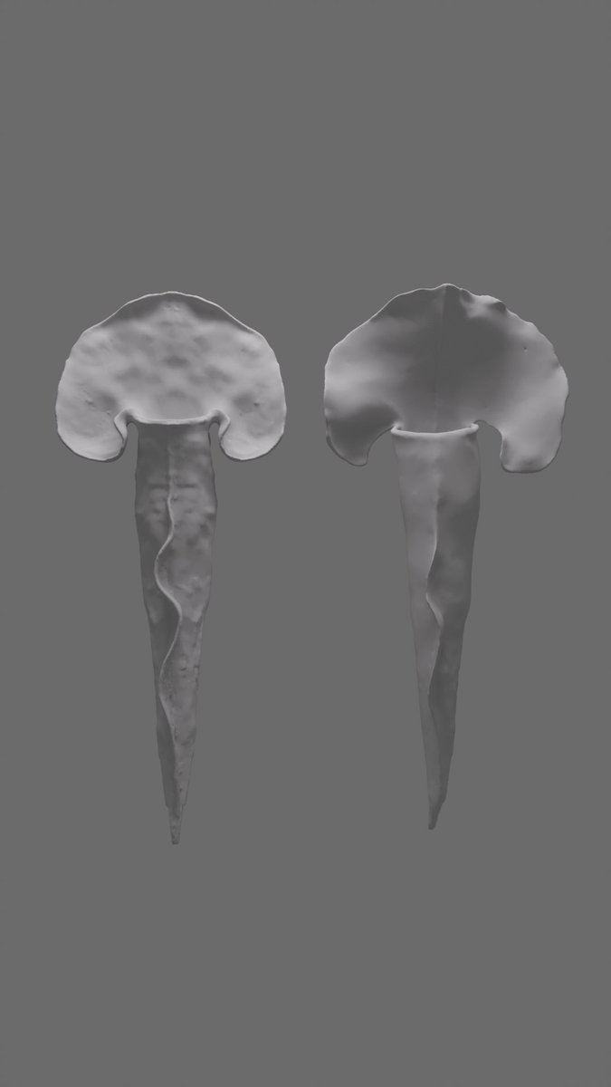 drbolick tweet media