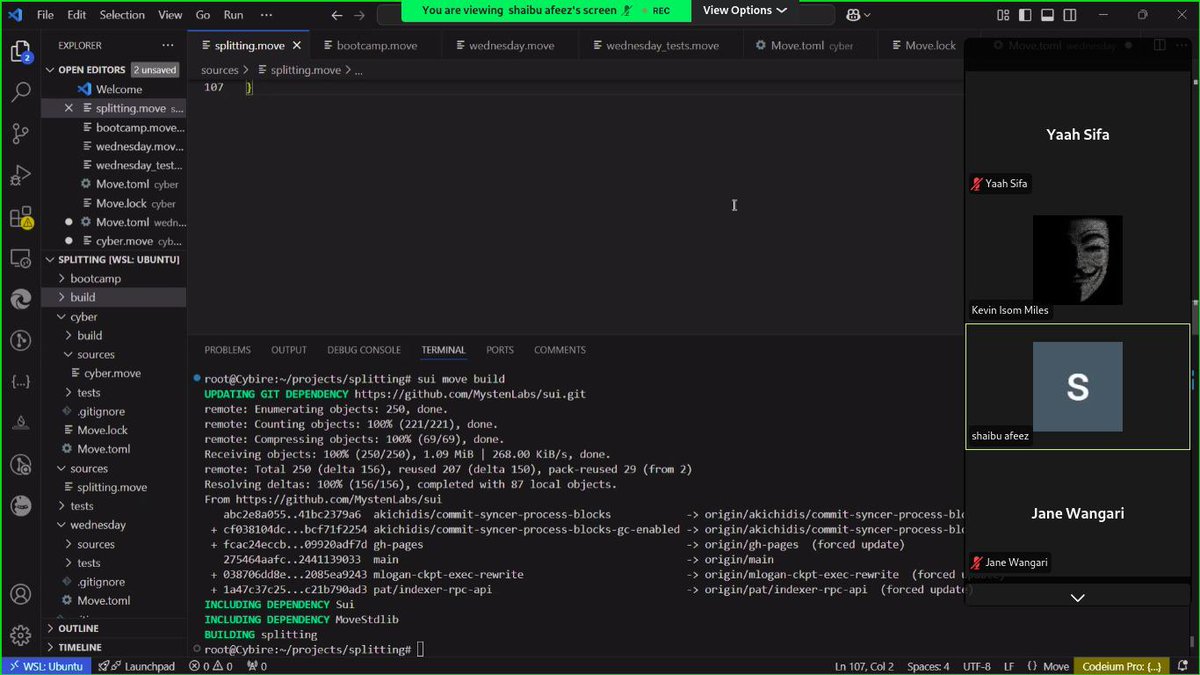 blcvkman's tweet image. GM GM !! Day 4 of the Sui Move Bootcamp with @SuiNetworkKE yesterday .
The journey so far has been a mix of challenges🤖 and breakthroughs , Initially faced some errors while setting up Sui CLI, but i figured it out got everything up and running.
github.com/okaipeter/myfi…