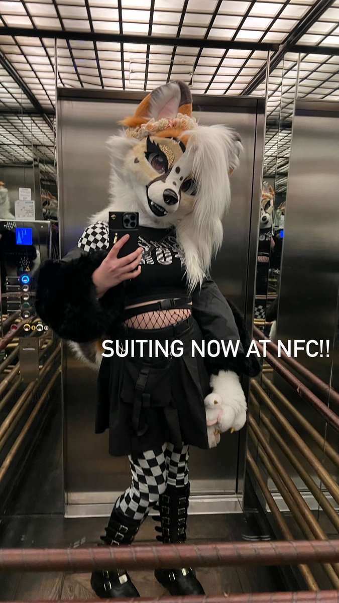 LunariFox 🔜 NFC (@lunarifox) on Twitter photo 