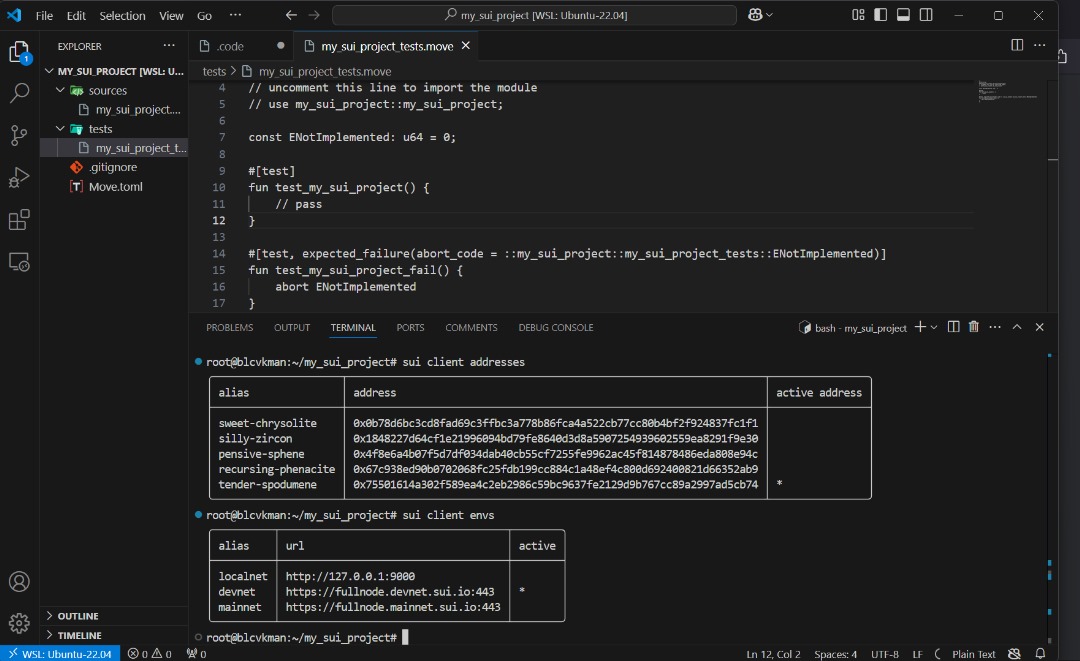 blcvkman's tweet image. GM GM !! Day 4 of the Sui Move Bootcamp with @SuiNetworkKE yesterday .
The journey so far has been a mix of challenges🤖 and breakthroughs , Initially faced some errors while setting up Sui CLI, but i figured it out got everything up and running.
github.com/okaipeter/myfi…