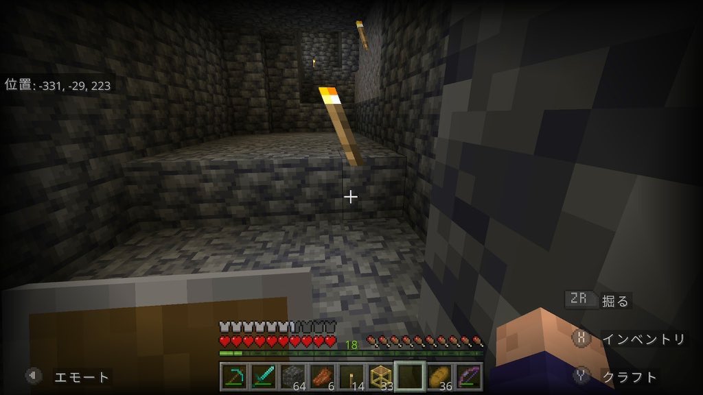Krgn_m000's tweet photo. なんかバックって、ブロックないのに松明置けたんですけどぉ??
#マイクラ
#マイクラ統合版
#Minecraft
#MinecraftSwitch https://t.co/E3utqY1hVw