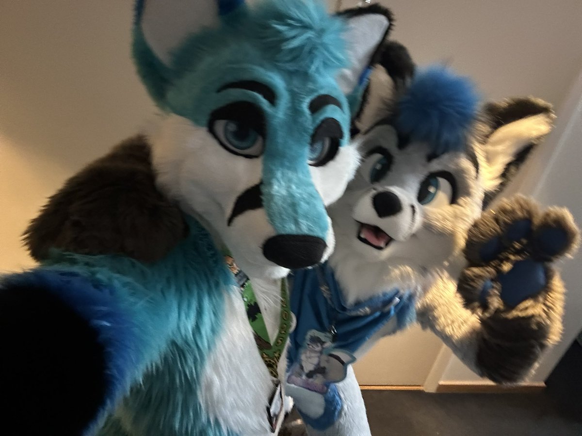 Two straight foxes heading down for some more suiting :3

🦊<a href="/pohakufox/">Pohaku 💙🦊💙</a>