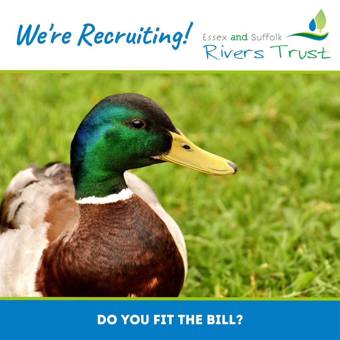 We're excited to announce two new opportunities to join our dedicated team! Could you be our next Bluespaces Officer or Volunteer and Community Involvement Officer?

Visit our recruitment page to find out more about these roles and how to apply: essexsuffolkriverstrust.org/recruitment