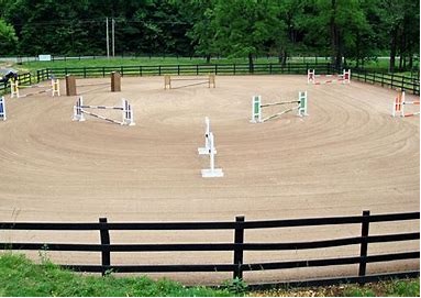 SPECIAL OFFER  - EQUESTRIAN SAND  
£20 + Vat per Tonne collected ex yard🐴