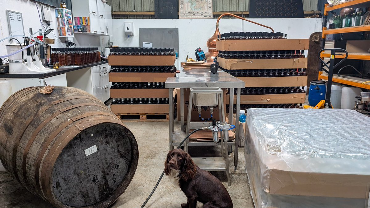 LBDspirits's tweet photo. Bottles bottles everywhere. Two more casks to bottle then we'll be ready to share what we've got for you. Dog looks unimpressed by our efforts, hoping for a more enthusiastic response from you lot. https://t.co/FiaaYd2VbX